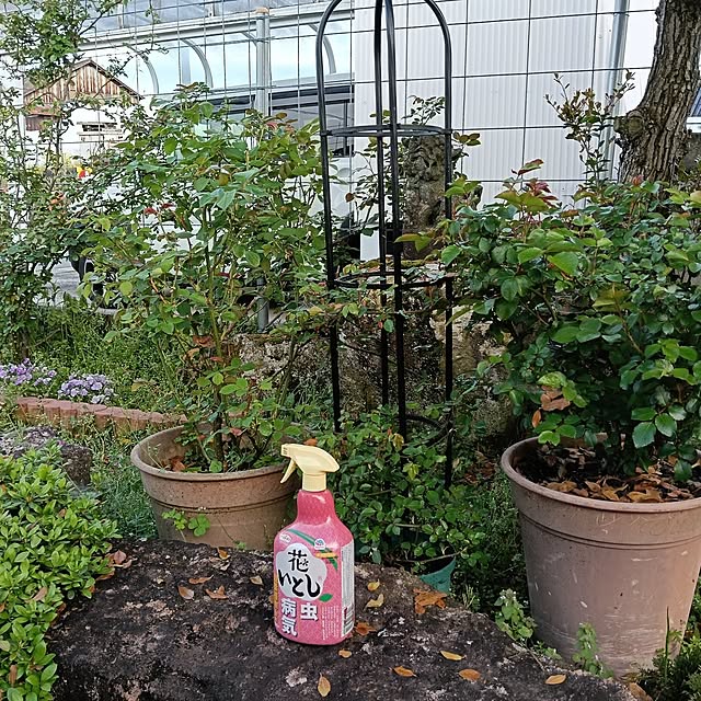 sumimarumiさんの部屋