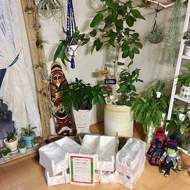 cooさんの実例写真