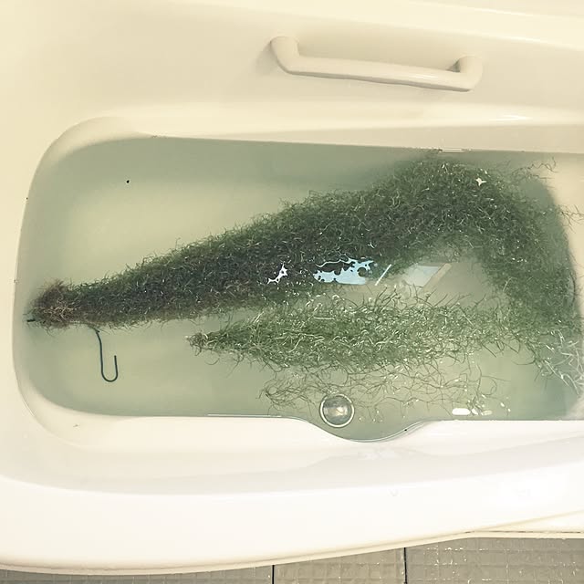 S-Tillandsiaさんの実例写真