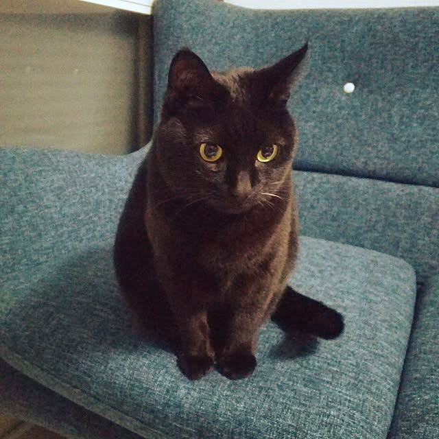 takahiroさんの実例写真