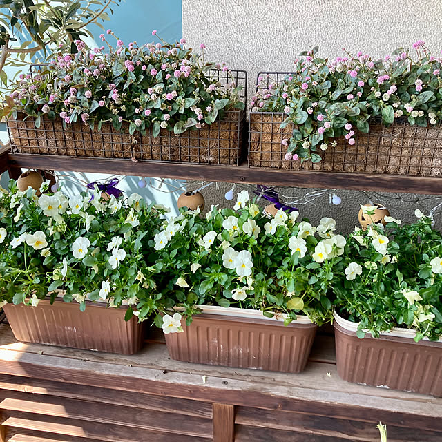 marukoさんの実例写真