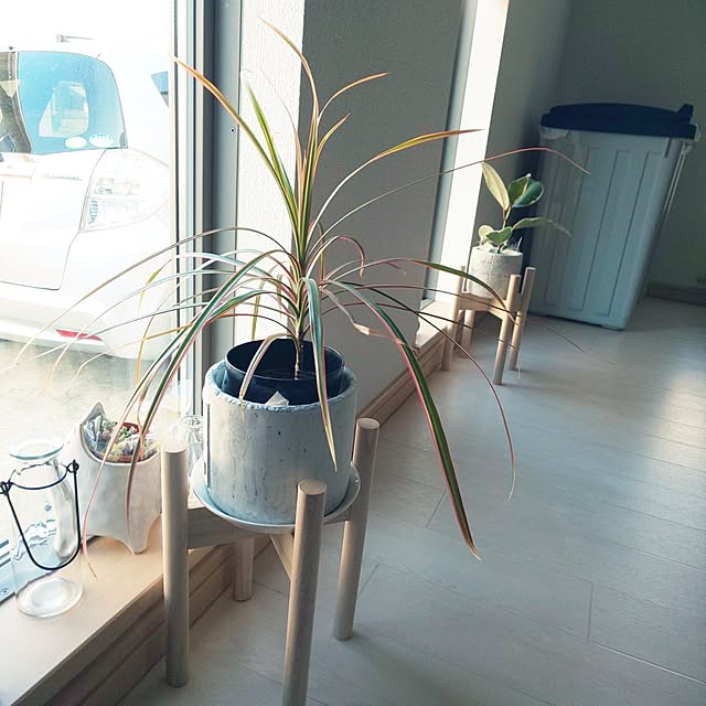 KOHAKUさんの実例写真