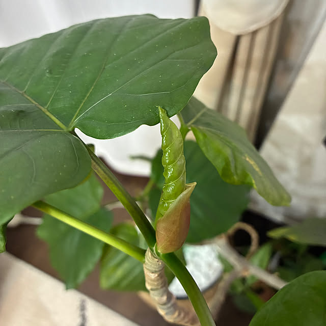 Rioさんの部屋