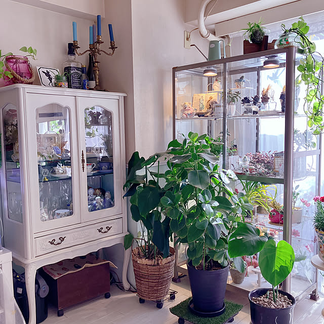 machakoさんの部屋