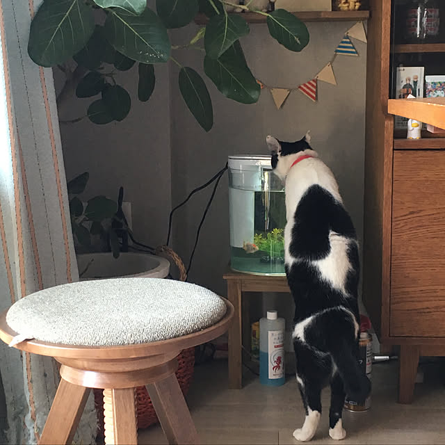 hanaさんの実例写真