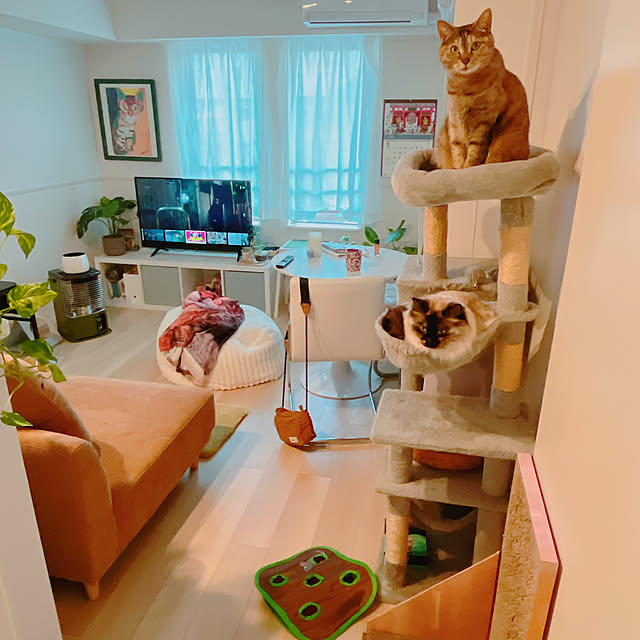 cocoさんの部屋
