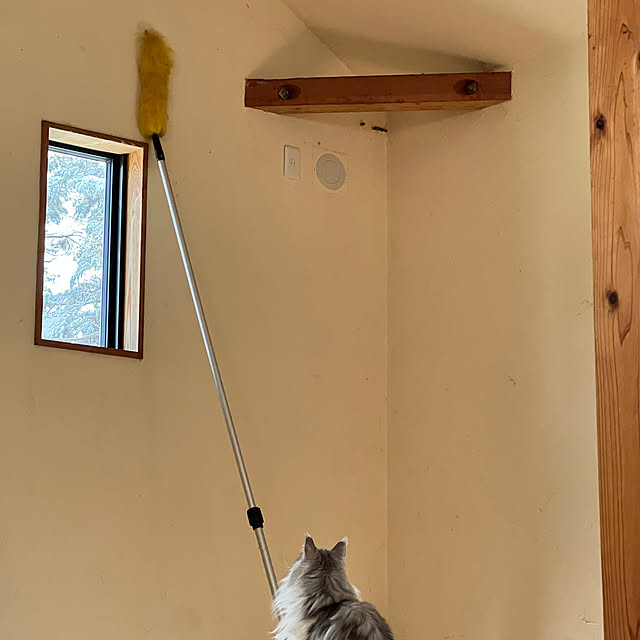 Kikko.さんの部屋