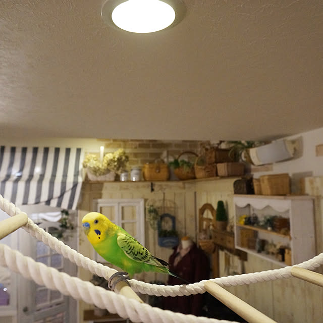 r_6cafeさんの実例写真