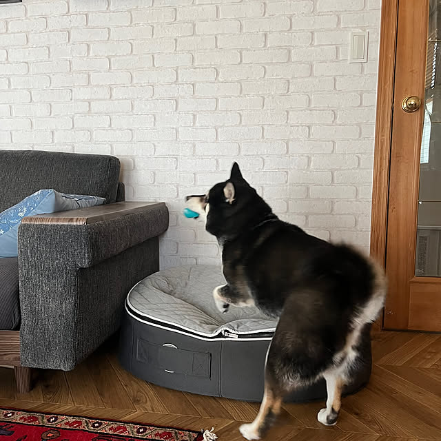 AKIさんの部屋