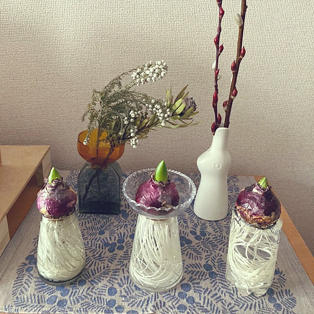 花瓶 ヒヤシンス水栽培のおすすめ商品とおしゃれな実例 花瓶 ヒヤシンス水栽培のおすすめ商品とおしゃれな実例