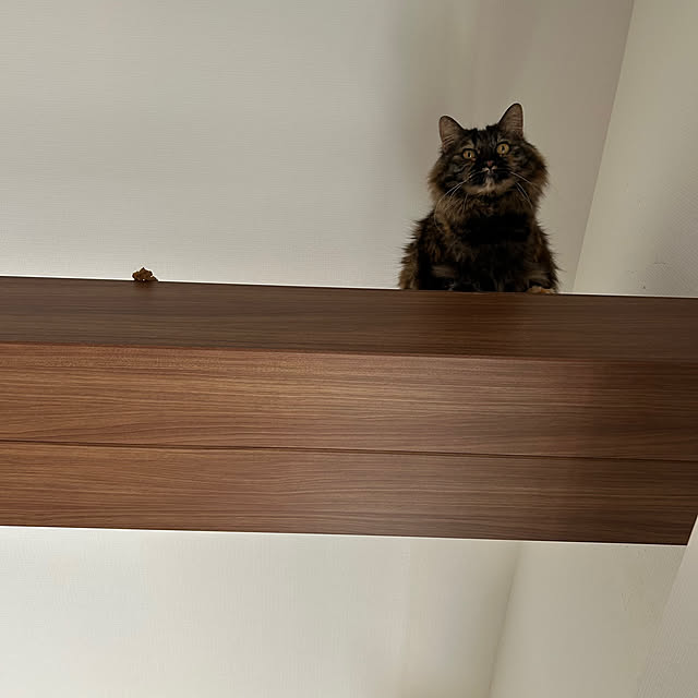 mikomaruさんの部屋
