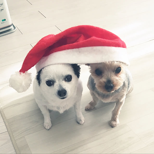 ohanaさんの実例写真