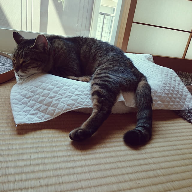 lilyさんの実例写真