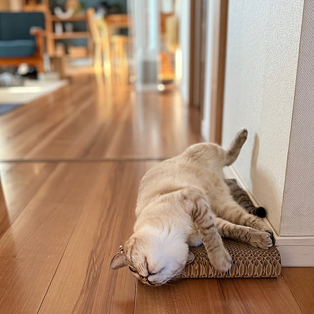 amさんの部屋
