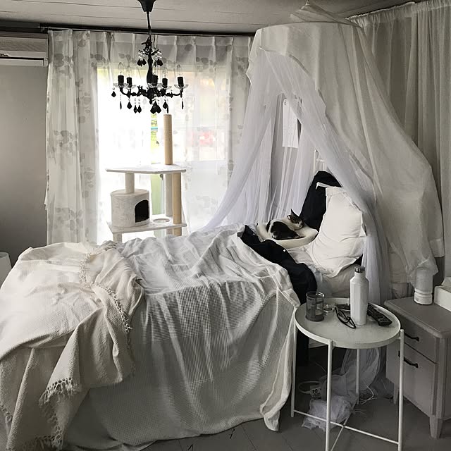 Shihoさんの実例写真