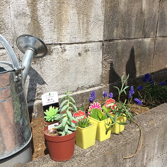 Hiromiさんの実例写真