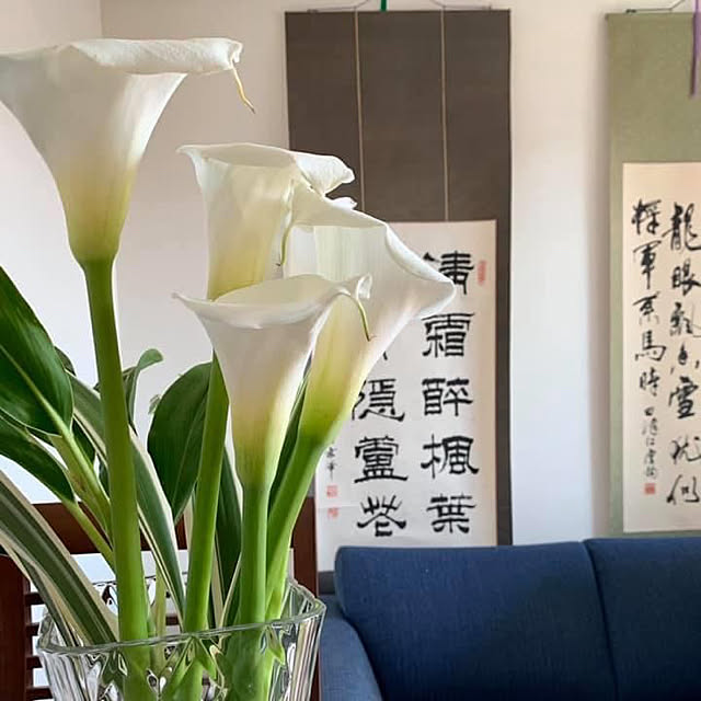 akiyamaさんの実例写真