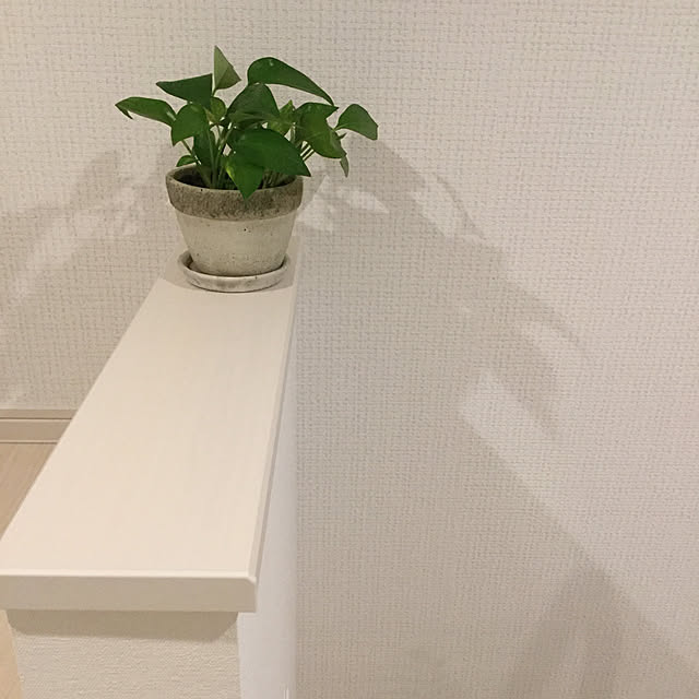 decochanさんの実例写真