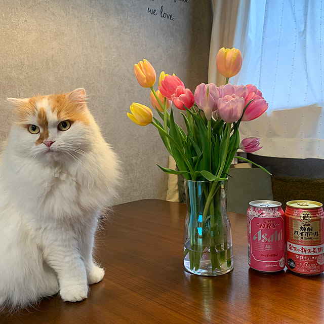 keiさんの実例写真