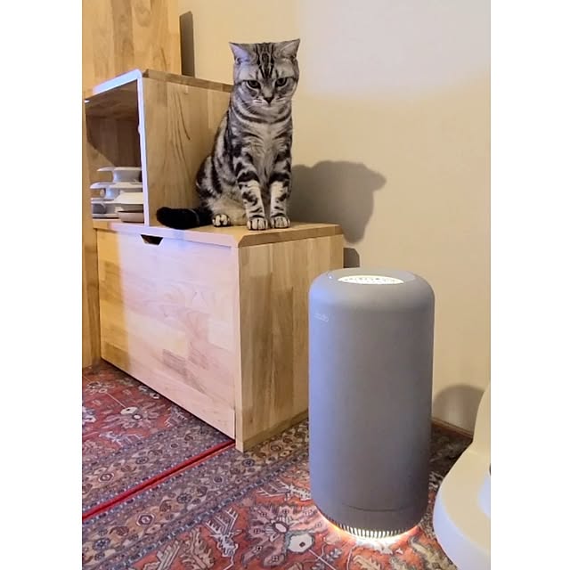 lovepeaceさんの部屋