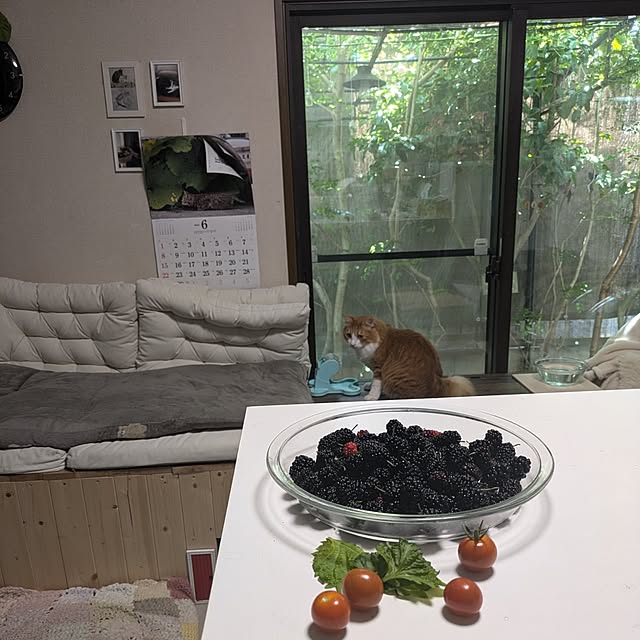 mori_6_12さんの部屋