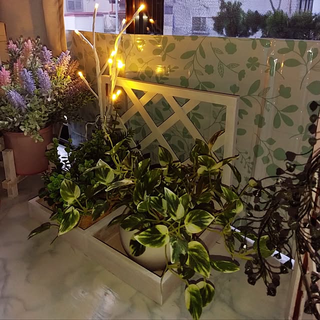 dreamerさんの実例写真