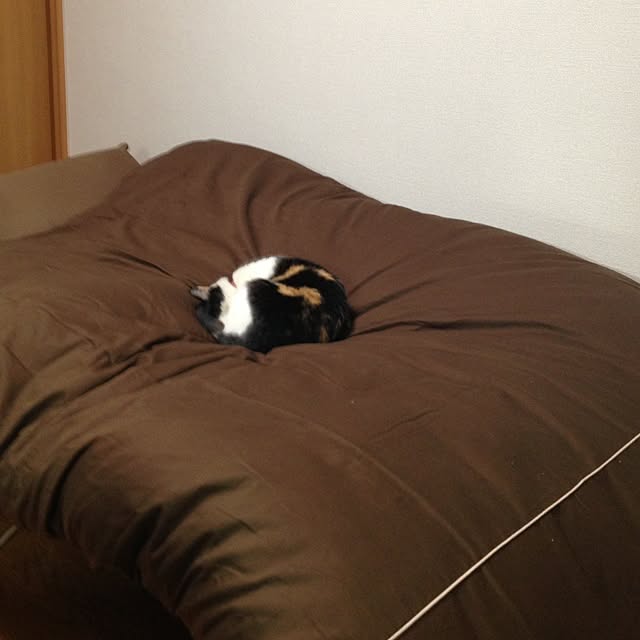 実例写真