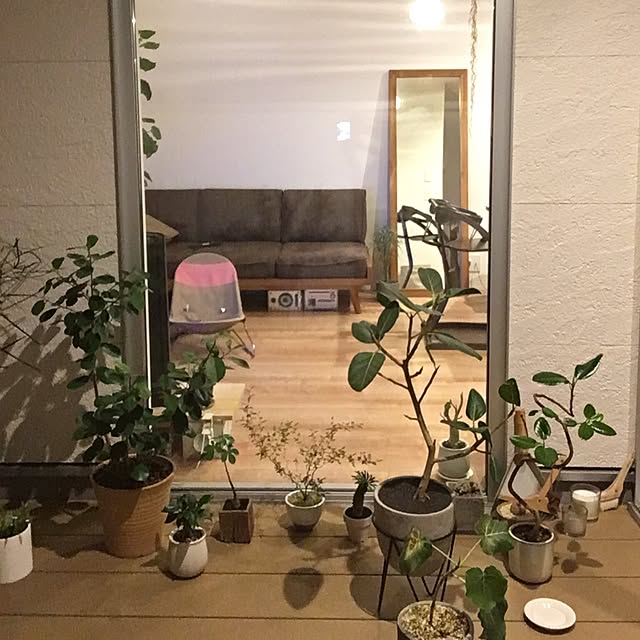 Y1178さんの実例写真