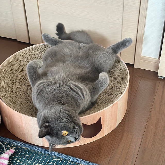 kittyさんの部屋