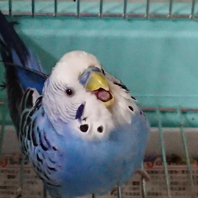 karinさんの実例写真