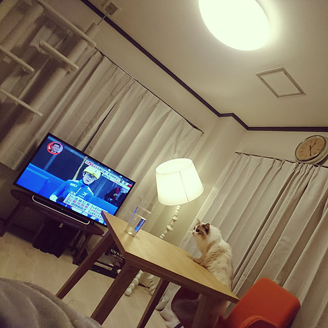 marukomofukoさんの実例写真