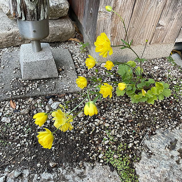 shin0719さんの部屋