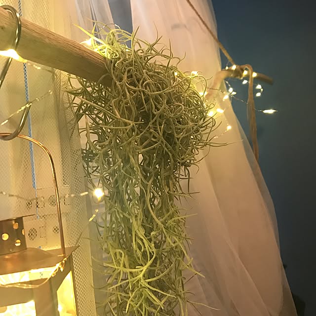 Sakiさんの実例写真
