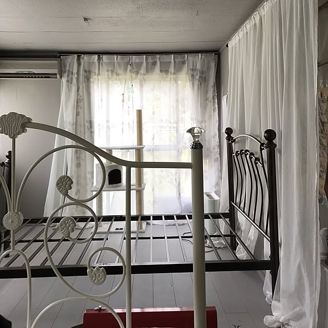 Shihoさんの実例写真