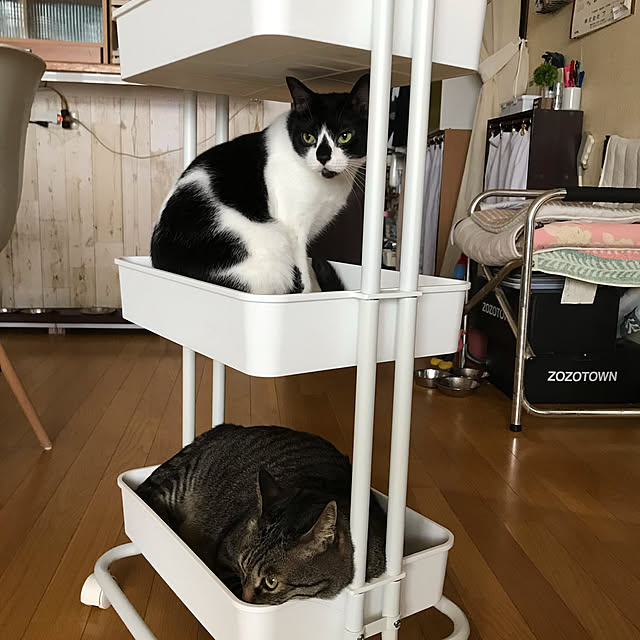 lnonlove12さんの実例写真