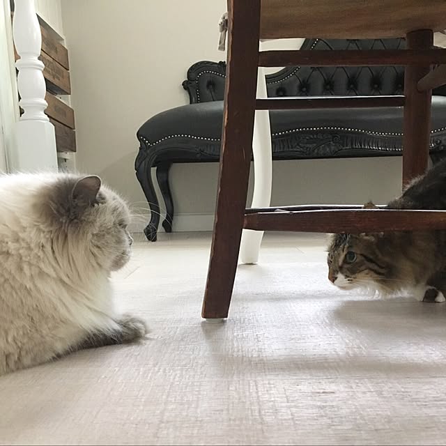 yuchiさんの実例写真