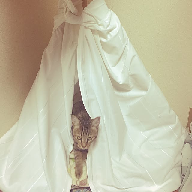 Yukiさんの実例写真