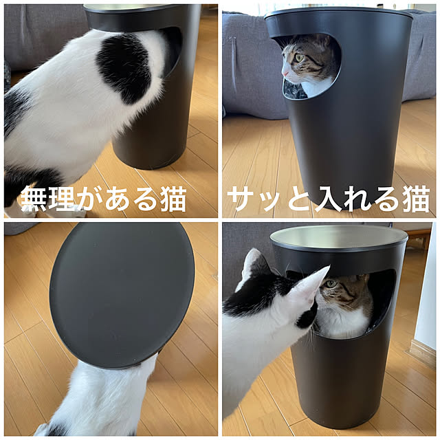 nobikoさんの実例写真