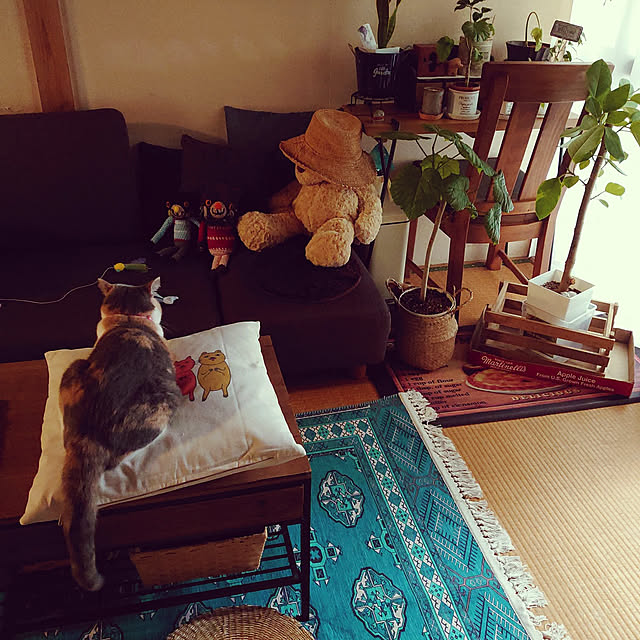 fukuさんの実例写真