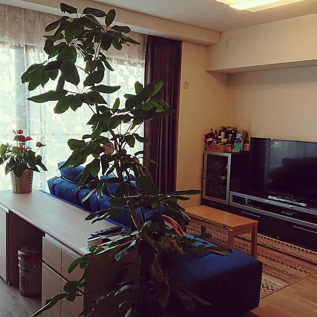 mohri1022さんの実例写真