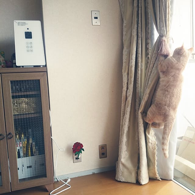 yoshihama12さんの実例写真