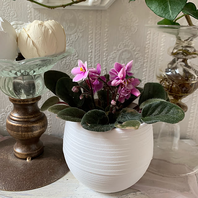 AYUKOさんの実例写真