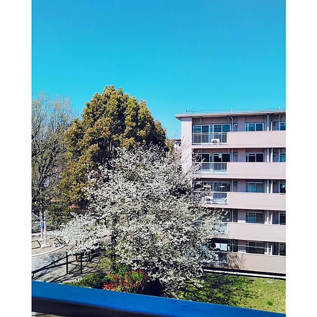 waniwaniさんの実例写真