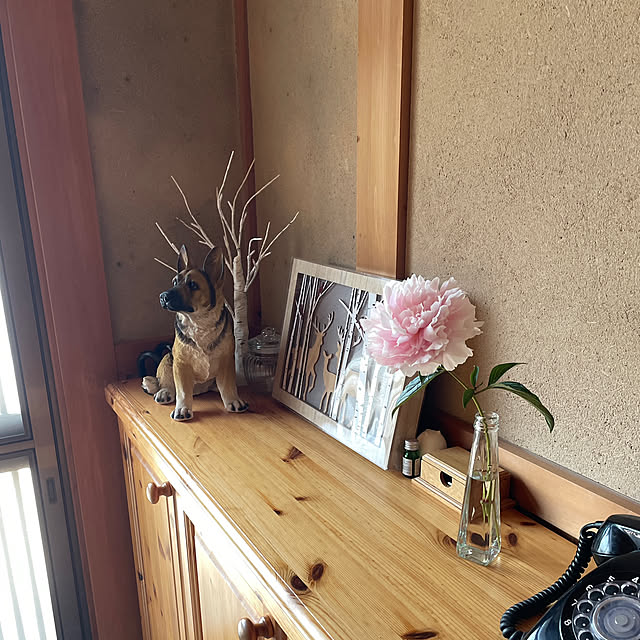 icemintさんの実例写真