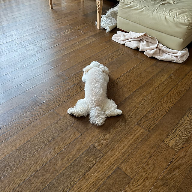 norikorinさんの部屋