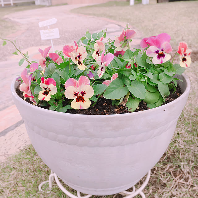 t.m.r.sさんの実例写真