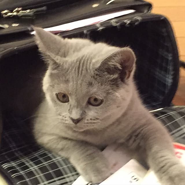 nonnonさんの実例写真