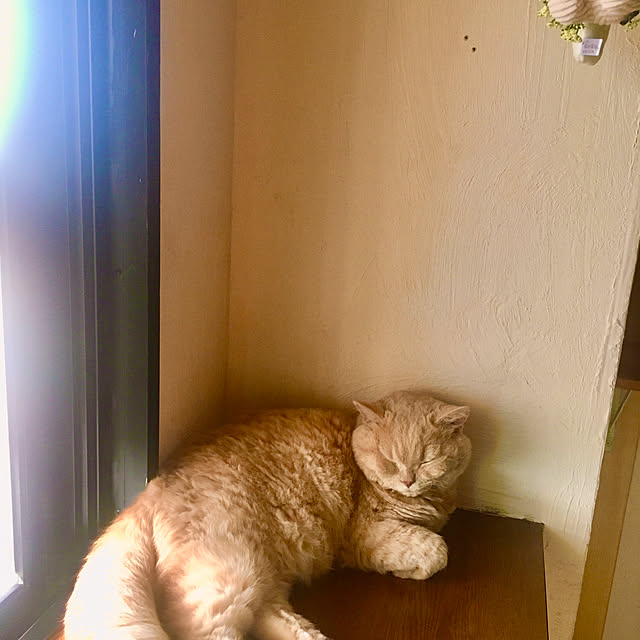 naokoさんの部屋