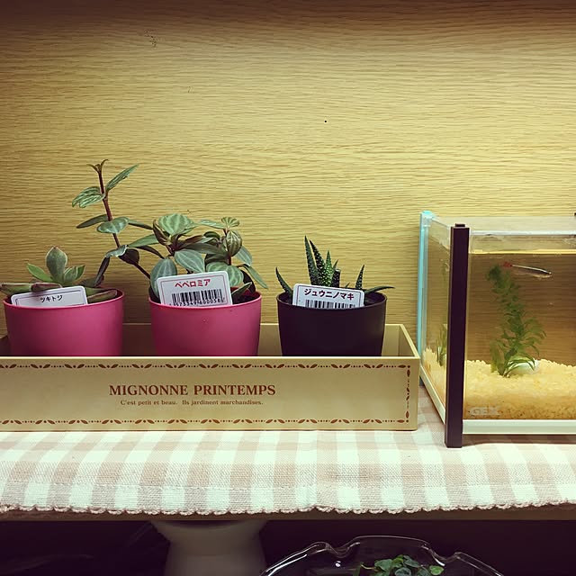 zuborararaさんの実例写真