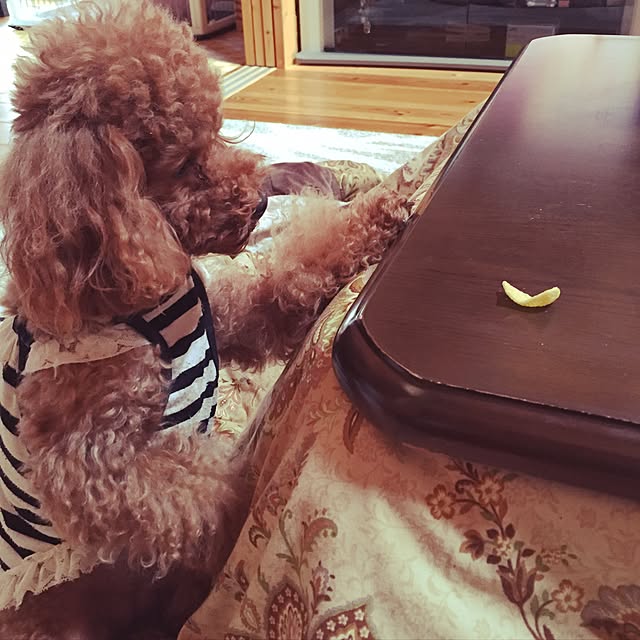 momoさんの実例写真